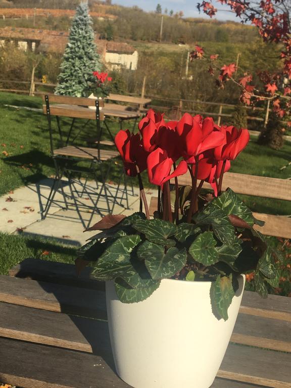 אלבה Agriturismo Da Mamma מראה חיצוני תמונה