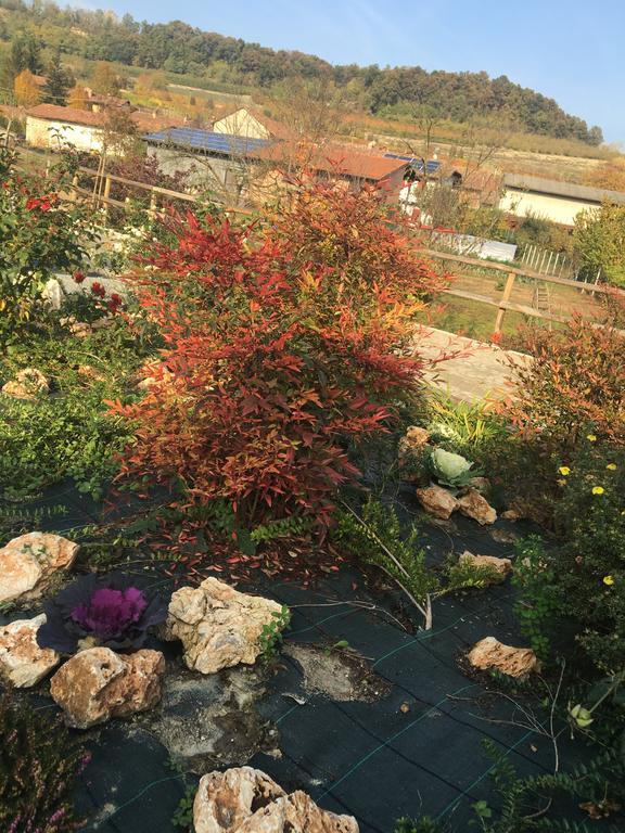 אלבה Agriturismo Da Mamma מראה חיצוני תמונה