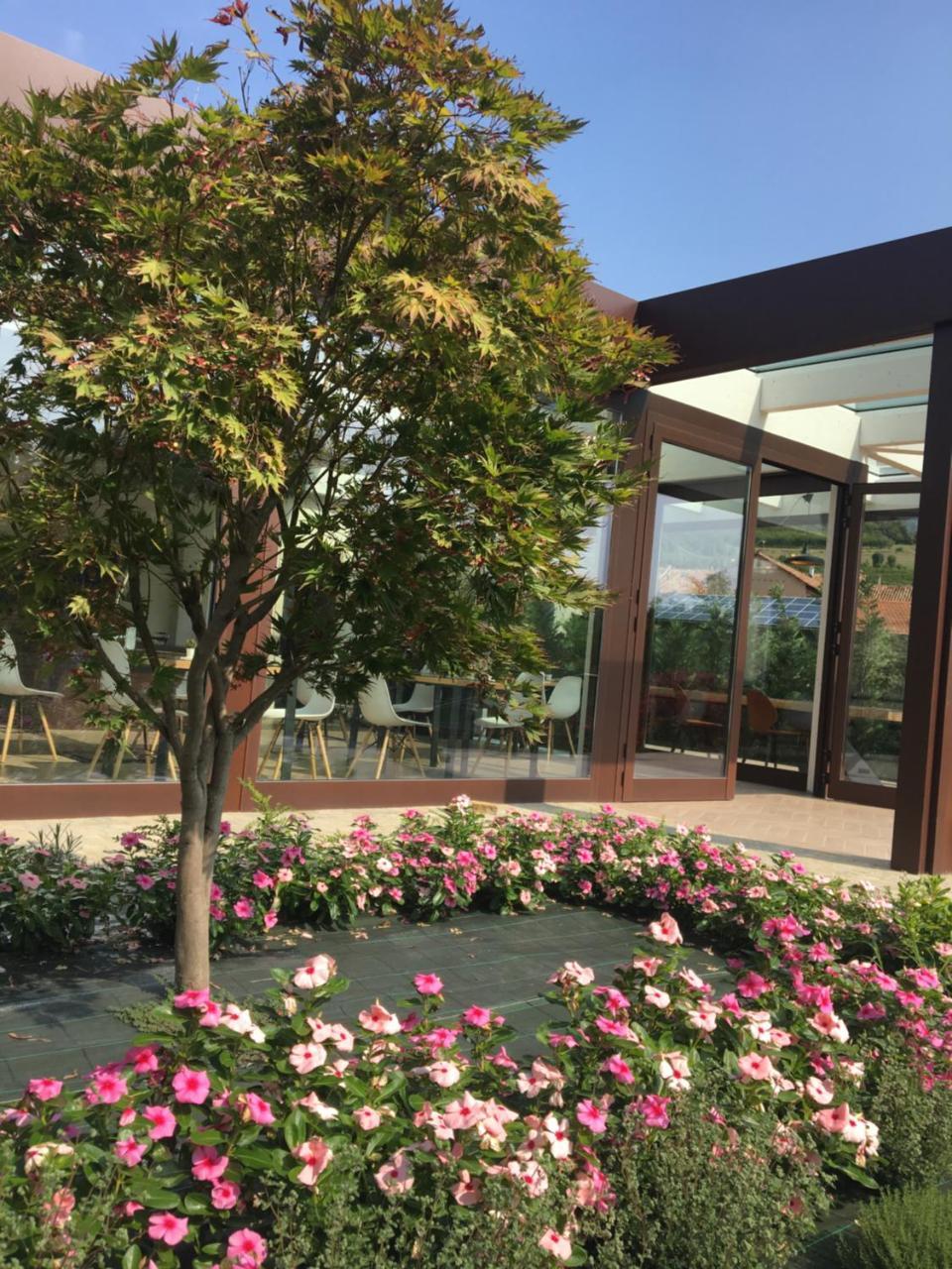 אלבה Agriturismo Da Mamma מראה חיצוני תמונה