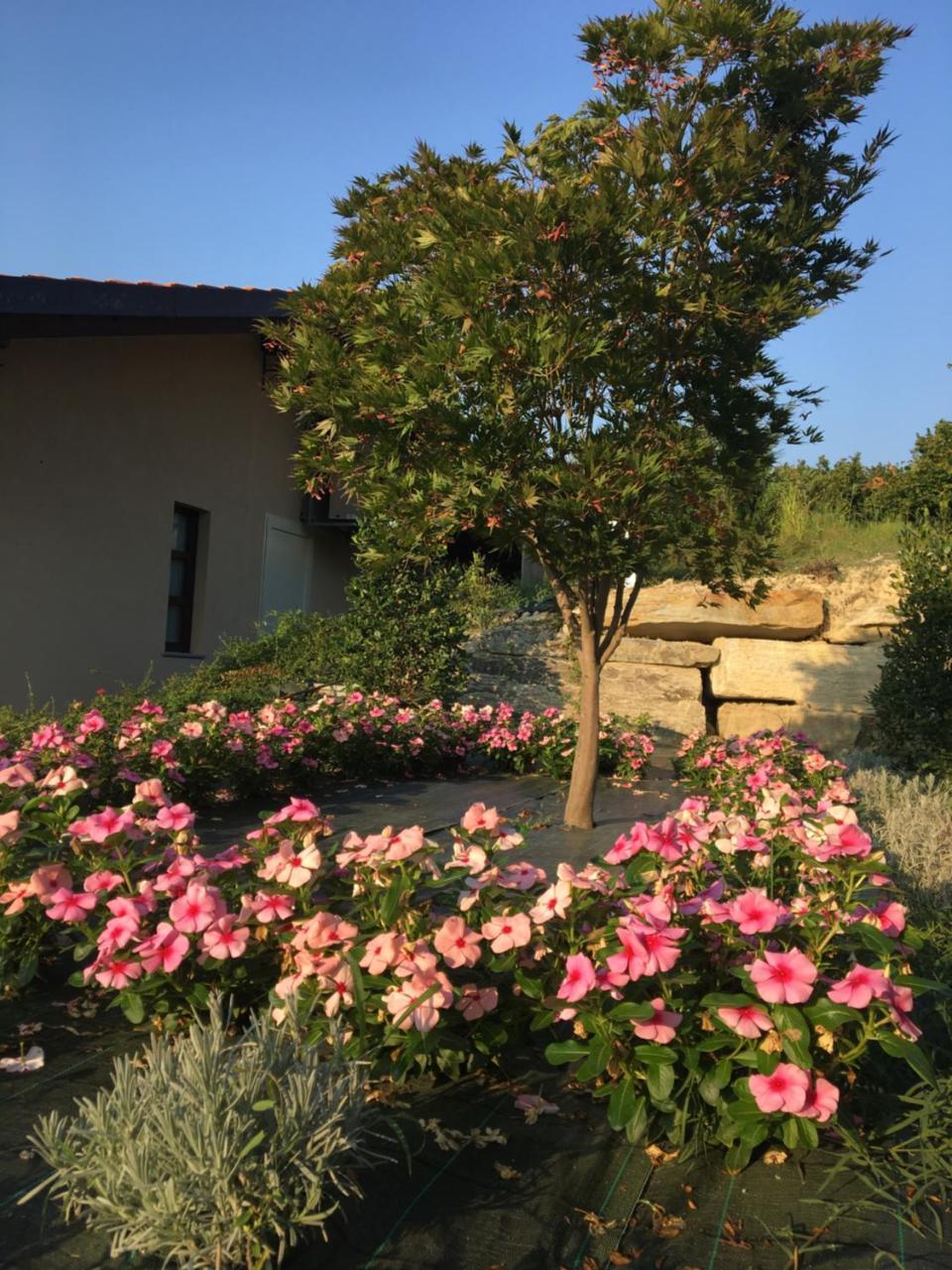 אלבה Agriturismo Da Mamma מראה חיצוני תמונה