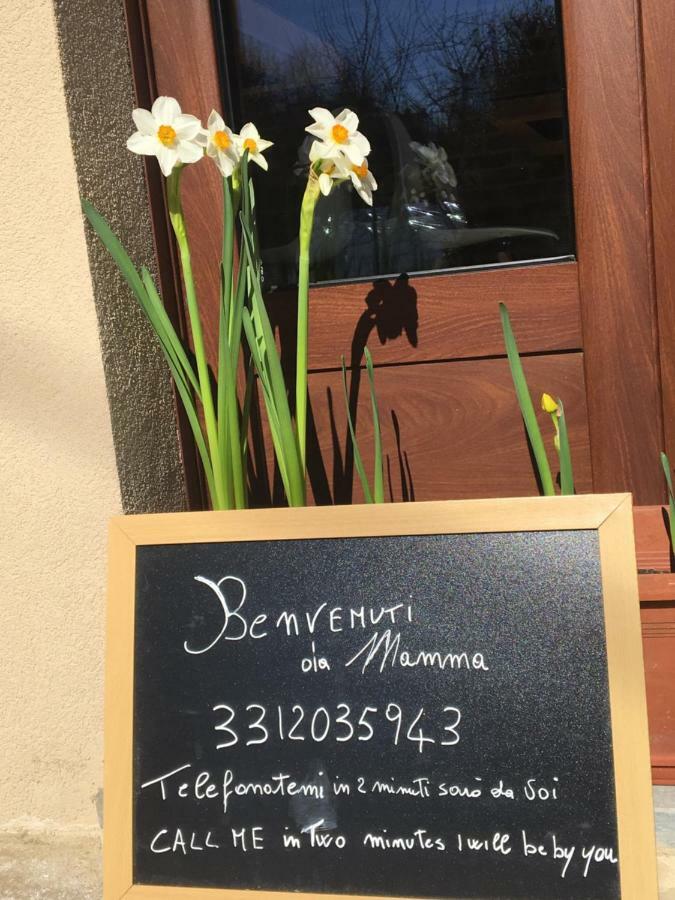 אלבה Agriturismo Da Mamma מראה חיצוני תמונה