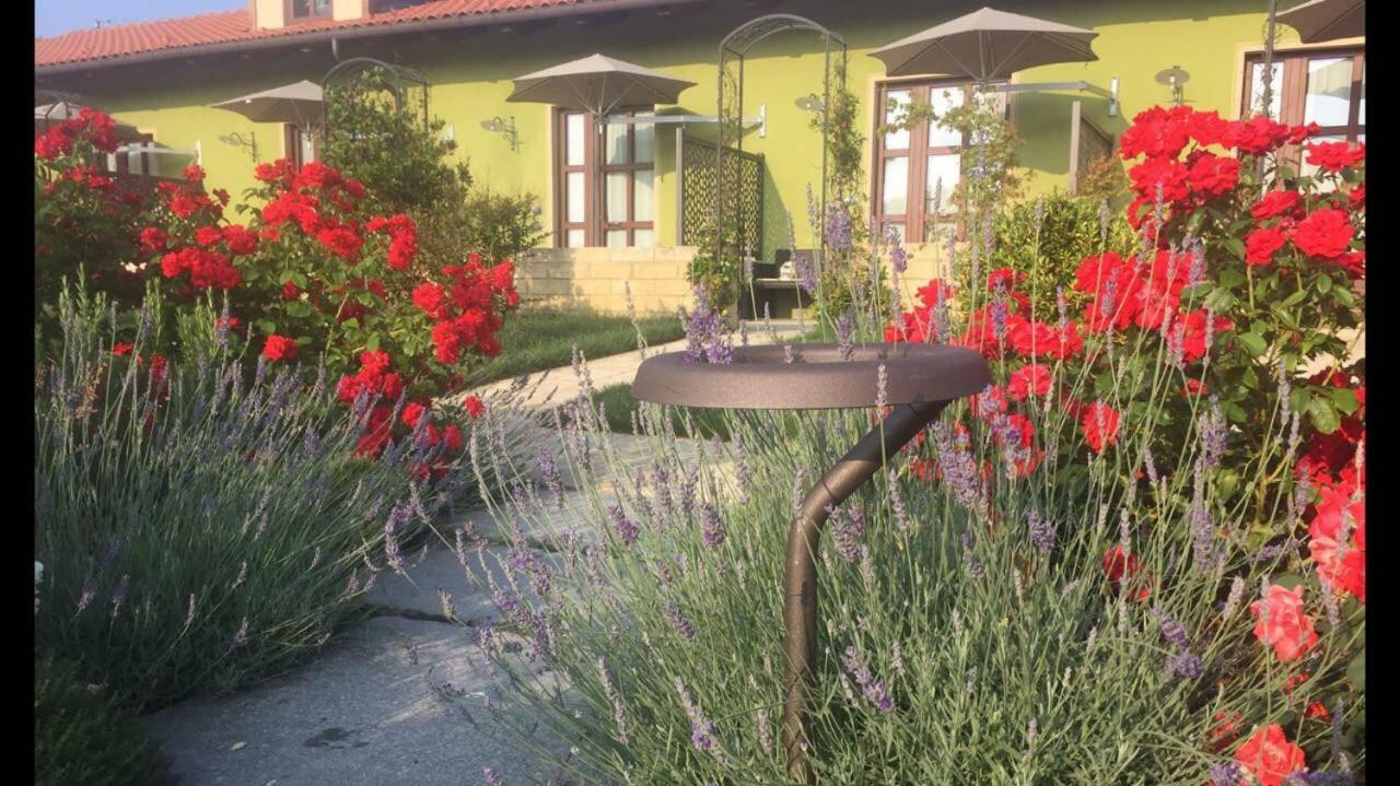 אלבה Agriturismo Da Mamma מראה חיצוני תמונה